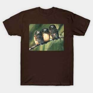 Saw Whet Owls T-Shirt